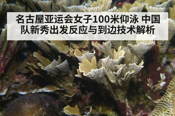 名古屋亚运会女子100米仰泳 中国队新秀出发反应与到边技术解析